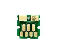 JCxYGAP Chip de Caja de Tanque de Mantenimiento C13S210057 SC13MB Compatible con Impresora F570 F500 T3170 T5170 F571 T2100 T3100 T5100 T3160 T2170 T3130 530(10 Pcs)