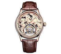 JDLERMY Tourbillon - Reloj mecánico vintage para hombre, esfera de diamante, esfera de diamante, zafiro, reloj hueco de doble cara, diseño de caballos del zodiaco chino, significado de éxito, futuro