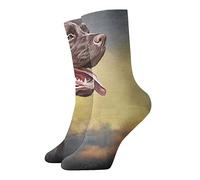 JDNFDR Doodle Rock Music - Calcetines de compresión de moda, calcetines de compresión acolchados de poliéster de alto rendimiento, para correr, atletismo, Dibujo de perro labrador, Altoa única