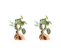 JDNH 2 accesorios de escalada realistas para reptiles pequeños, cangrejos ermitaños, geckos crestados, decoración natural para ejercicio, rama de escalada para reptiles