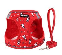 JdotMIN Juego de arnés y correa a cuadros para perro, extra pequeño/pequeño a mediano, arnés de chaleco para perros y gatos sin tirones, a prueba de escapes, para pasear cachorros y gatitos, para