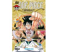 Je comprends ce que vous ressentez (One Piece, 45)
