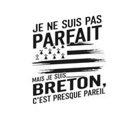 Je Ne Suis Pas Parfait Mais Je Suis Breton, C'est Presque Pareil : Carnet De Notes Breton Ligné - 120 pages: Cadeau Humour Breton - Carnet De Notes ... Pour Homme, Femme Et Amoureux De La Bretagne