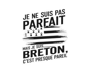 Je Ne Suis Pas Parfait Mais Je Suis Breton, C'est Presque Pareil : Carnet De Notes Breton Ligné - 120 pages: Cadeau Humour Breton - Carnet De Notes ... Pour Homme, Femme Et Amoureux De La Bretagne