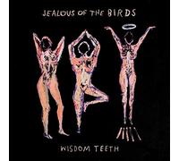 Jealous Of The Birds – Wisdom Teeth – Atlantic Bicycle