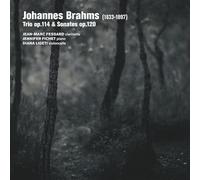 Jean-Marc Fessard, Jennifer Fichet, Diana Ligeti - Brahms: Trio Op. 114, Sonates Op. 120