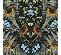 Jean-Michel Blais - Aubades (CD)