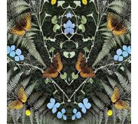 Jean-Michel Blais Jean-Michel Blais: Aubades (Vinyl) Limited 12" Album