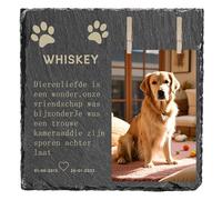 JeathFea Lapide commemorativa per Cane e Gatto, Pietra commemorativa Personalizzata per Animali Domestici, Targa a Forma di Cuore con Foto