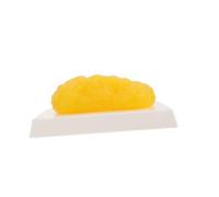 JECOMPRIS 1 modelo gordo gym gimnasio gimnasia body tejido graso humano maniquíes modelo anatómico dispositivo de demostración de plástico grasa corporal réplica módulo el plastico