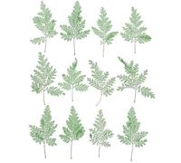 JECOMPRIS 48 Piezas Hojas Prensadas Naturales Verdes para Manualidades Aroma Duradero Mal Olor, Material Adecuado para Decoración de Velas y Fiestas