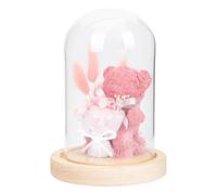 JECOMPRIS Adorno Floral Flores Preservadas en Cristal Diseño Oso Compacto Decoración para Escritorio y Obsequio Día del Maestro Adorno Eterno para Hogar y Oficina Obsequio Original para