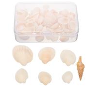 JECOMPRIS Caja de Conchas Naturales para Manualidades DIY Decoración de Conchas Marinas de Color Claro para Adornos y Escenografía en Hogar y Bricolaje Material Artesanal