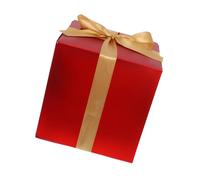 JECOMPRIS Cajas De Christmas Con Tapa Para Bodas Embalaje De Regalos De Dama De Honor