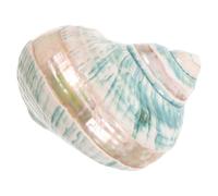 JECOMPRIS Conchas Marinas Naturales de Caracol Mediterráneo Fluorescente Adorno Decorativo para Acuario y Colección Educativa Pieza Única para Decoración Náutica y Proyectos DIY