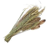 JECOMPRIS Manojo de Flores Secas de Caña y Junco Mixto, Ramo Alto para Jarrón, Decoración Rústica para Salón, Bodas y Hogar, Hierba de Pampa Preservada Natural para Arreglos y Centros