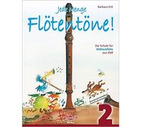 Jede Menge Flötentöne Band 2 (Tapa blanda)