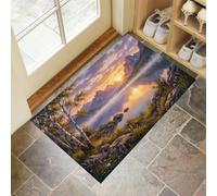 JEDTAKCT Felpudo Entrada Casa Antideslizante Paisaje Lacustre Natural para Interiores | Alfombras Fino Lavable, Puesta De Sol Montañas Brumosas Alfombrilla Absorbente para Pasillo, 45X75Cm, Naranja