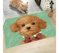 JEDTAKCT Felpudo Lavable Pajarita De Fresa Caniche Animales Lindos para Puerta De Entrada Antideslizante, Absorbente, Suave Alfombra De Cocina Contemporánea Baño Entrada Salón 50X80Cm Verde Salvia