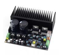 Jeenuuder MóDulo de Placa Amplificadora de Potencia 2,0 PortáTil, PráCtico, Multifuncional, EstéReo de Alta Potencia
