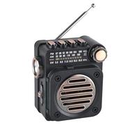 Jeenuuder Radio FM PortáTil Mini Receptor de Radio FM Am SW Altavoz Incorporado Reproductor de MúSica InaláMbrico Bluetooth 5.0 con Linterna LED