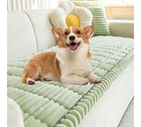 Jeesrt Couch Cover, Non Slip Sofa Protector For Dogs, Washable Pet Blanket with Fuzzy Fabric For Living Room Furniture (Light Green,60 * 90cm)