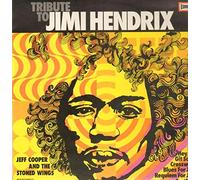 JEFF COOPER AND THE STONED WINGS - TRIBUTE TO JIMI HENDRIX LP (VINYL ALBUM) GERMAN EUROPA
