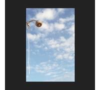 Jeff Zagers - All for the Love of Sunshine [VINYL] [Vinilo]