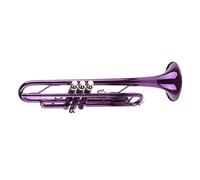 Jeffergarden B Trompeta Plana para Principiantes con Estuche, Instrumentos de Viento de Latón Profesionales y Accesorios para Estudiantes con Almacenamiento (PURPLE)