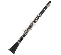 Jeffergarden Juego de Clarinete de 17 Teclas Bb, Instrumento Musical para Principiantes con Paño de Limpieza, Caja de Destornillador de Lengüeta para Estudiantes y Profesionales (BLACK)