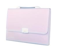 Jeffergarden Organizador Carpetas Archivos Expandible de 13 Bolsillos Material PP Almacenamiento de Documentos de Gran Capacidad con Asa para Oficina en Casa (PURPLE)