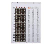 Jeffergarden Póster de Tabla de Acordes de Mandolina, Notas de Diapasón, Teoría Musical Instructiva para Principiantes, 56 Ejercicios para Dedos, Ayuda para el Aprendizaje, 40 X 56 Cm