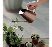 Jeffergarden Regadera Regadera de Acero Inoxidable, Hervidor de Metal con Pico Largo 400 Ml 900 Ml 1500, de Bronce para Plantas de Interior y Exterior Bonsai Suculentas Oficina Jardín (Tamaño