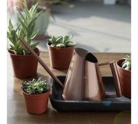 Jeffergarden Regadera Regadera de Acero Inoxidable, Hervidor de Metal con Pico Largo 400 Ml 900 Ml 1500, de Bronce para Plantas de Interior y Exterior Bonsai Suculentas Oficina Jardín (Tamaño