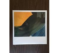 Jefre Cantu-Ledesma On the Echoing Green (Vinyl) 12" Album