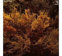 Jefre Cantu-Ledesma - Tracing Back The Radiance [Vinilo]
