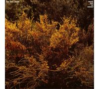 Jefre Cantu-Ledesma Tracing Back the Radiance (Vinyl) 12" Album