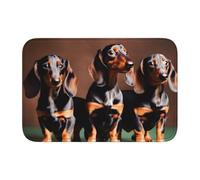 JEJEA Tapete antideslizante con estampado de perro salchicha Weiner para puerta, terciopelo de cristal, lavable, con parte trasera de goma antideslizante para interiores