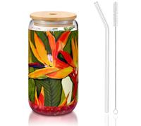 JEJEA Vasos de cristal con tapa de bambú y pajitas, diseño de pájaro tropical del paraíso, tazas de café, vasos en forma de lata, vasos, cócteles, transparentes