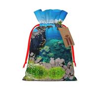 Jeju Island - Bolsas de regalo con cordón con estampado de Corea para fiestas, caramelos, regalos de Navidad, decoración de vacaciones