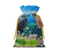 Jeju Island - Bolsas de regalo con cordón con estampado de Corea para fiestas, caramelos, regalos de Navidad, decoración de vacaciones
