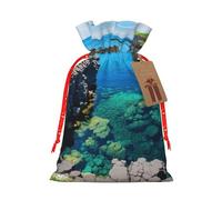 Jeju Island Korea - Bolsa de regalo de lino con cordón, bolsa de almacenamiento reutilizable para fiestas de Navidad, bolsas de almacenamiento