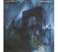 Jellyfish Kiss - stormy weather LP