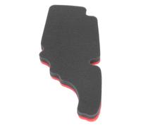 Jelquix Reemplazo de Esponja de Elemento de Filtro de Aire para Motocicleta para Filtración Mejorada en Primavera 50 LX 150 LXV S150 1 Unidad