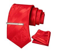 JEMYGINS Conjunto de Corbatas para Hombre con Patrón Mixto de Rosas y Rayas, Incluye Pinza para Corbata y Pañuelo todo rojo