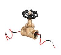 Jenivaint Interruptor de Luz Industrial Cuerpo de Hierro Interruptor de Lámpara Retro 3A a 120 V Oro Negro 55 X 90 Mm Diseño Vintage Steampunk para Iluminación de Pared de Tienda en Casa