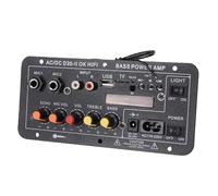 Jenivaint Placa Amplificadora de Audio de 200 W, Módulo Amplificador con Control de Volumen para Altavoces de Bricolaje, Cine en Casa, Audio para Automóvil, Fuente de Alimentación de 12 V 24 V CC