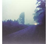 Jenks Miller (Horseback)/James Toth (Wooden Wand) - Road To Ruin [Vinilo]