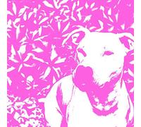 Jenna and the Pups & - Split [Vinilo]