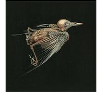 Jenny Hval & Susanna - Meshes of Voice